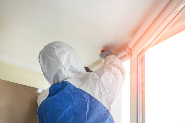 Best Attic Mold Removal  in Williamston, SC