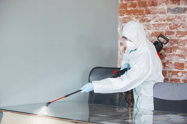 Best Industrial Mold Remediation  in Williamston, SC