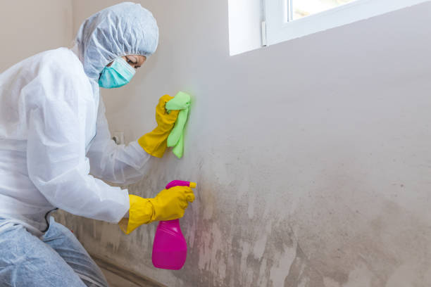 Best Residential Mold Inspection & Testing  in Williamston, SC