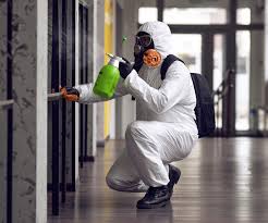 Best Mold Remediation for Healthcare Facilities  in Williamston, SC